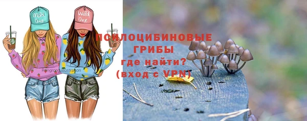 кокс Арсеньев