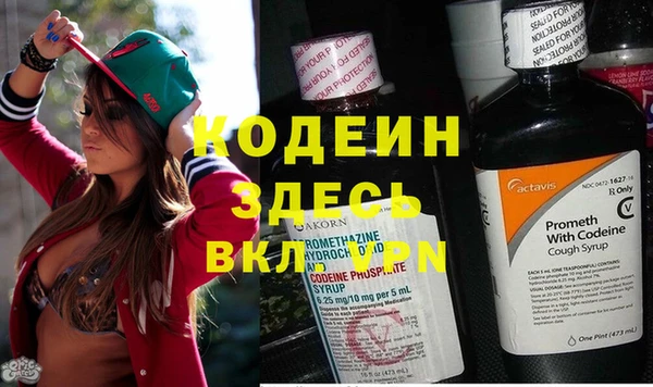 кокс Арсеньев